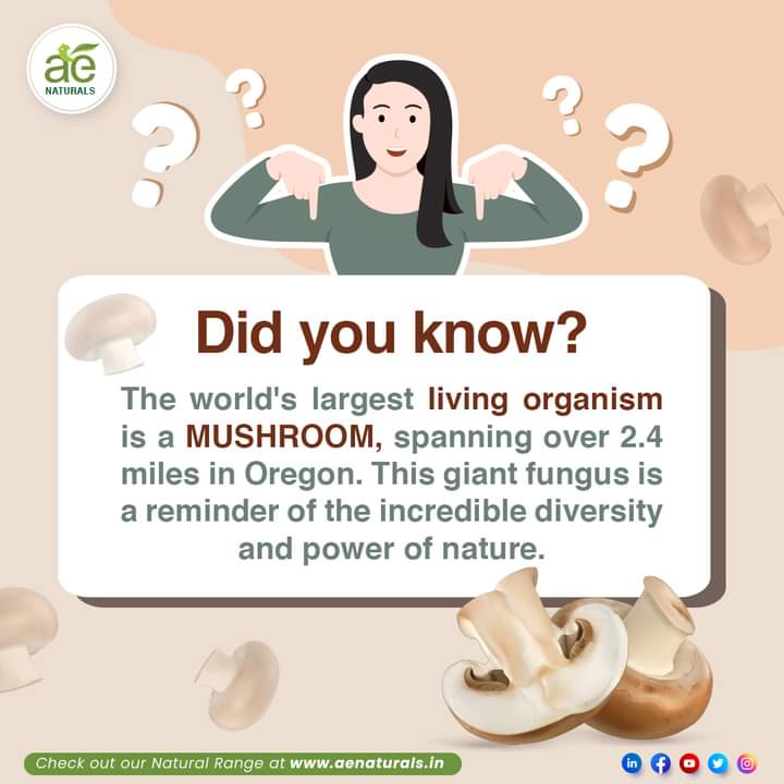 🌸

#AE #NatureFacts #SkincareSecrets #HealthyFacts #NaturalBeauty #AEforHealth #AENaturals #HealthyLiving #AllNatural #FeelYourBest #Naturalliving #GentleCare #NaturalsOnly #healthtip #naturalwellness #NatureLovers #AEhealth #AE #Wellness #Explore #pure #AllNatural #Healthy