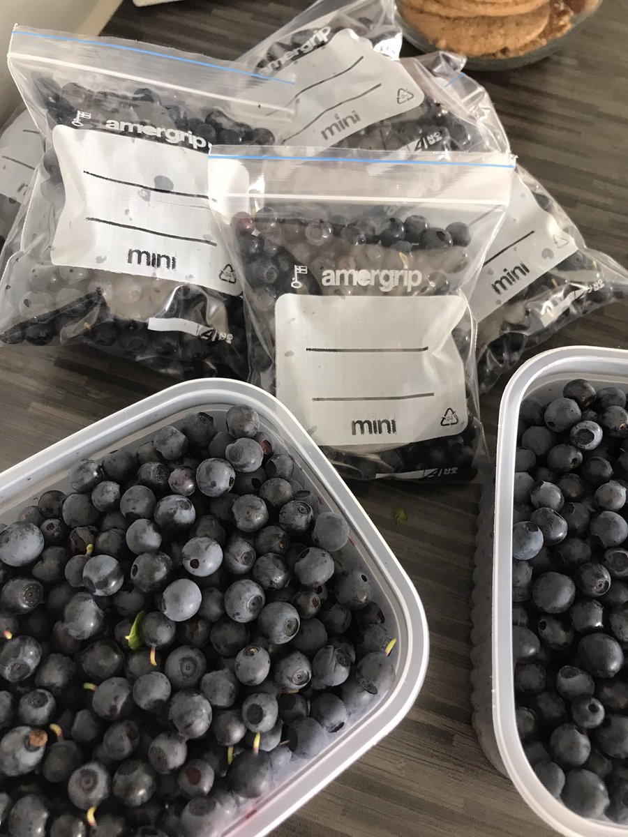 Eilen poimin, keitin, pussitin, pakastin punaista🍓tänään poimin, pussitin, pakastin sinistä 🫐 Suomen luonto🌲🍀 voimaa ja voimaannuttavaa kokonaisvaltaisesti 🍀