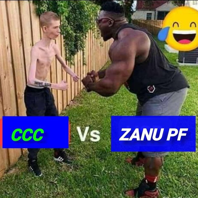 man_kuchi's tweet photo. A true representation of how this #ZimElections2023  is going lol. #Zanu beating the shit out of weak #CCC 
Let's get it ZANU family, victory is secured 🫡🫡 #VotED #ED2023 #5MoreYears https://t.co/dt4KuIekpX