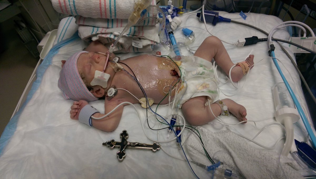 MattMoscona's tweet image. Happy 9th birthday to the happiest, bravest boy I know!

The best part of every day of my life.

Sincere thanks to everyone who has been and continues to be #TeamDrew 💙💙💙💙