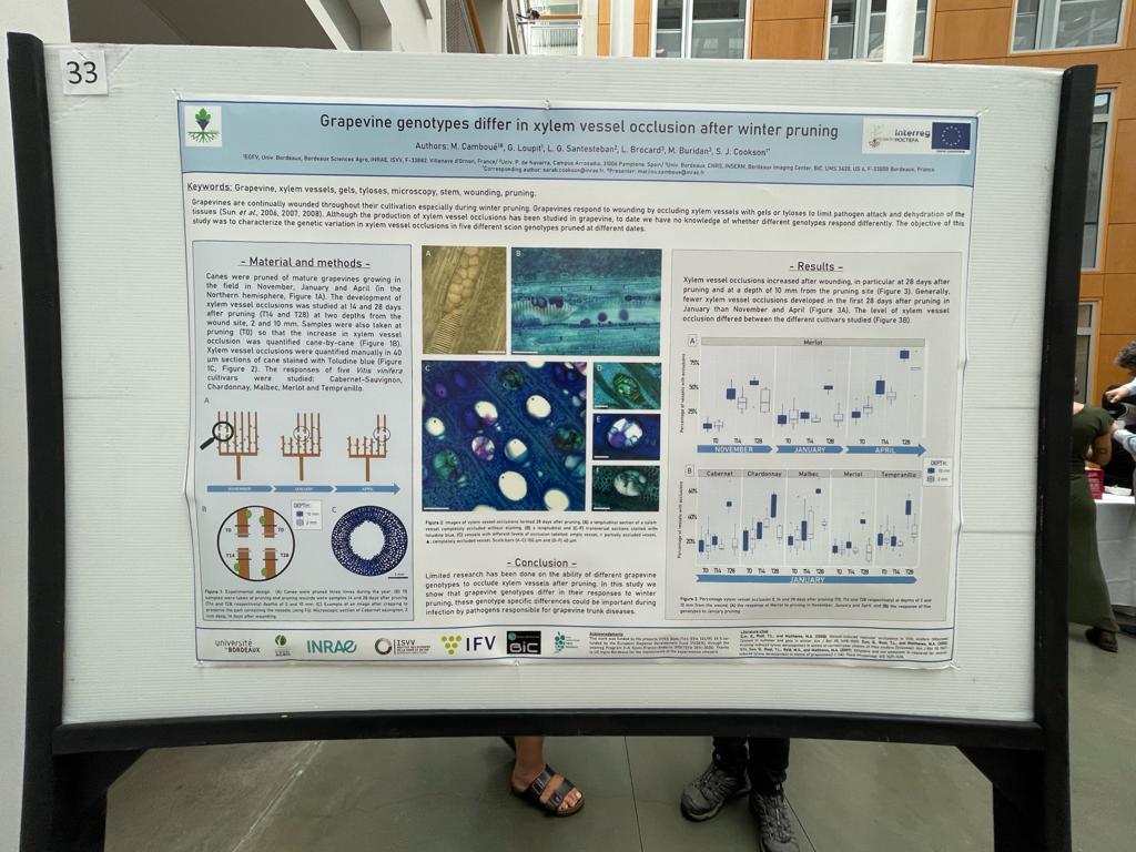 Aunque VitesQualitas terminó hace más de un año, nuestros trabajos siguen viajando por el mundo #GIESCO2023