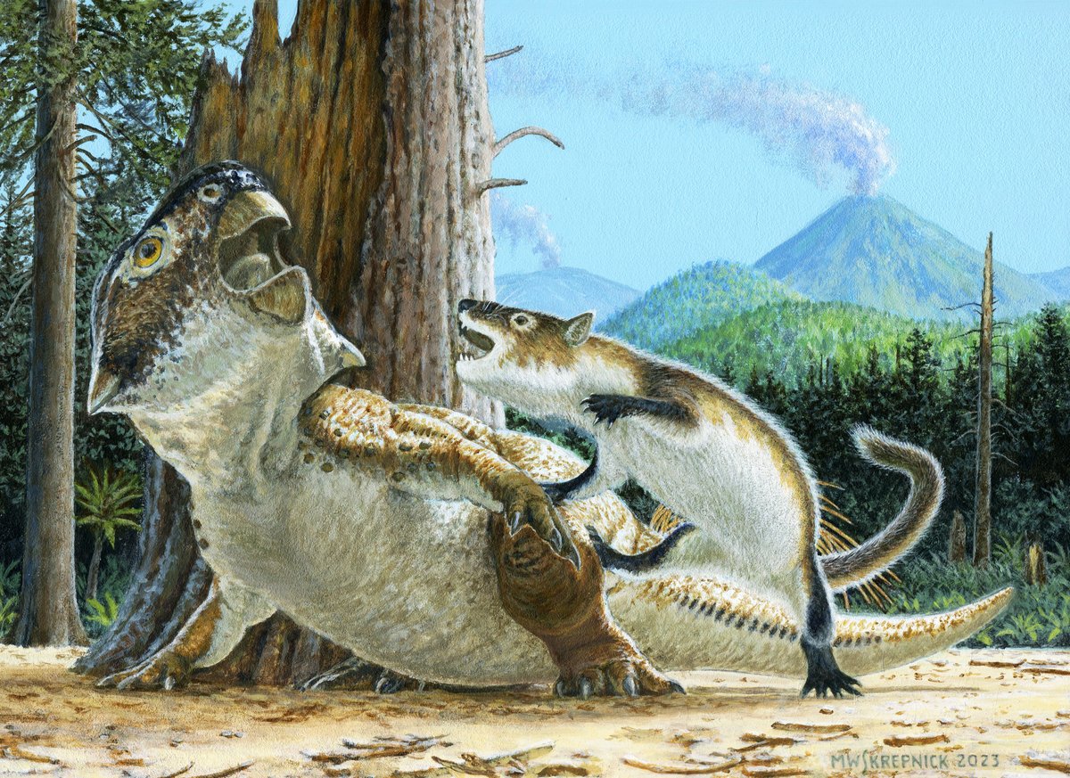 Jordan_Mallon's tweet photo. Some exciting news to share this morning:
"An extraordinary fossil captures the struggle for existence during the Mesozoic"

https://t.co/uGOQX0sVK8 https://t.co/SNBOZI4DFf