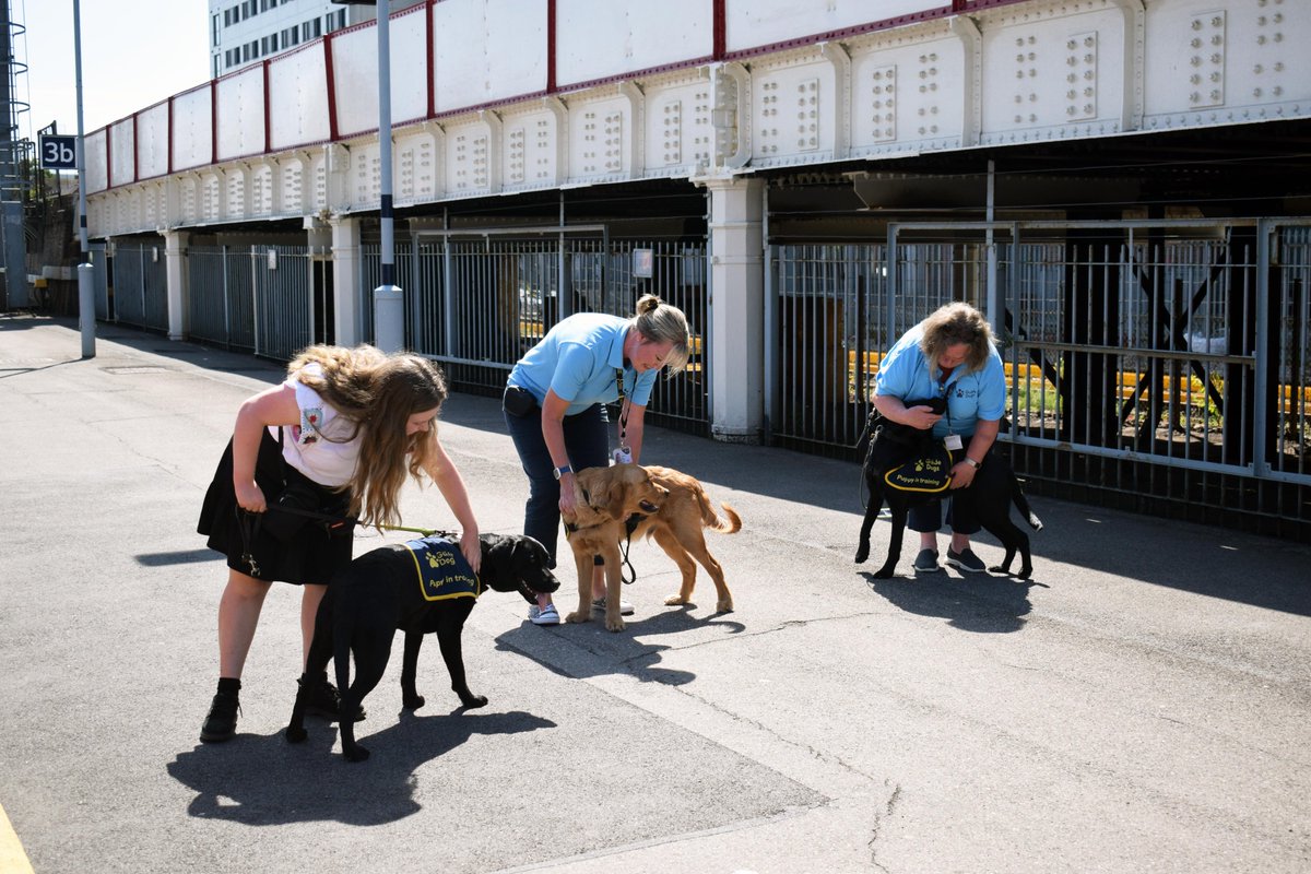 SWR Help on Twitter "Here are some more photos of the training session