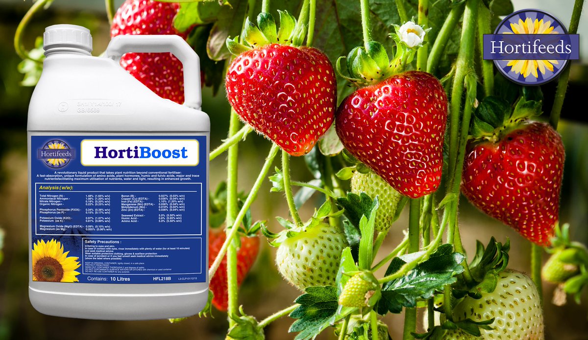 Unique, powerful package of 20 essential #amino-acids, nutrient rich #seaweed #humic acid complex and trace elements
Stimulates root growth and nutrient uptake boosting #crop vigour and health
Contact #hortifeeds team for more👉bit.ly/3fgOiPi

 #horticulture #fertiliser