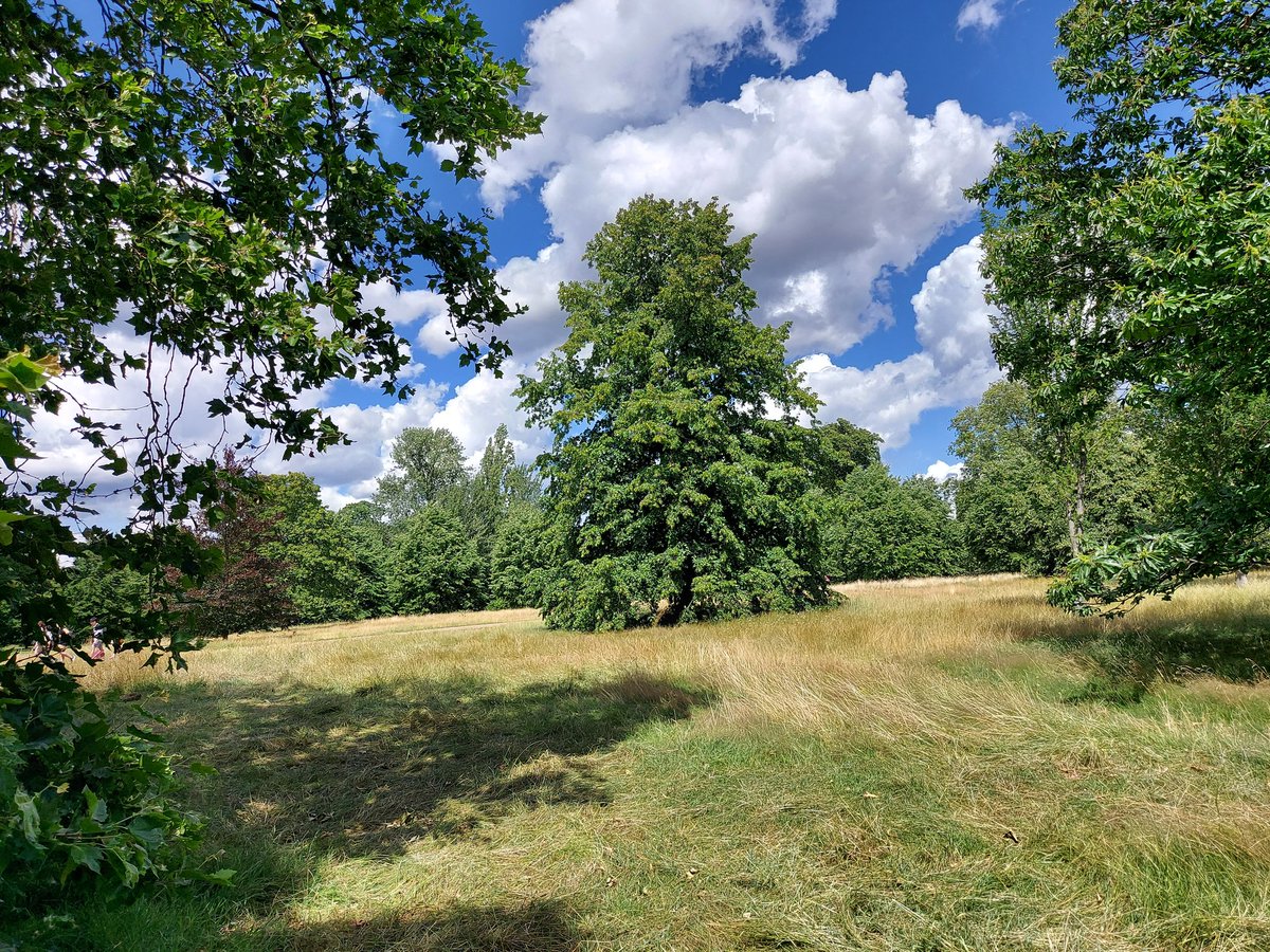 SouthKensington's tweet photo. It's hard to believe these beautiful parks and gardens are just a short stroll from the South Kensington museums! Hyde Park &amp; Kensington Gardens are a wonderful #lunchtime escape from the bustle of London life! 🌳 https://t.co/R46whjrJxl