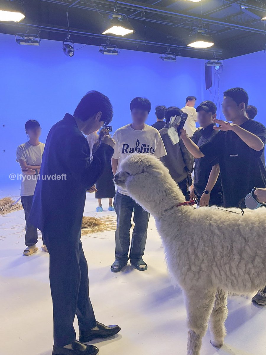 ifyou1uvdeft's tweet photo. 드디어 떠서 공개합미다
혁규의 알파카 복복복 -ㅅ-

친구가 촬영 스탭으로 있었구 촬영 당일 친구가 “알파카가 데프트 물었어 ㅋㅋㅋㅋㅋㅋㅋ” 라고 얘기해 줬었는데 혁규가 방송에서 옷 물린 썰 풀어줬던..

아마 두 번째 사진이 옷 물리고 난 뒤 같아요🤣

#Deft #데프트 https://t.co/oFDj3EBJuU