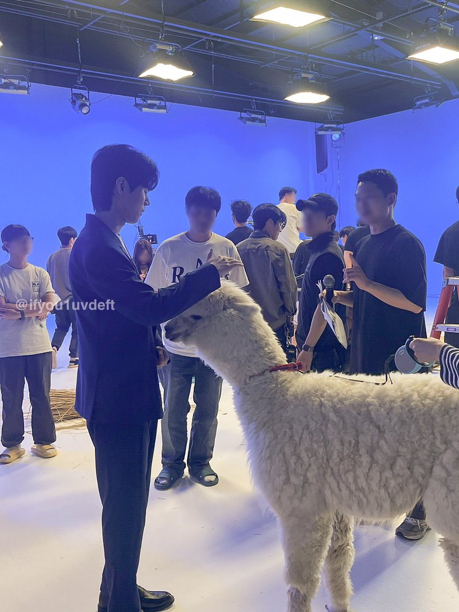 ifyou1uvdeft's tweet photo. 드디어 떠서 공개합미다
혁규의 알파카 복복복 -ㅅ-

친구가 촬영 스탭으로 있었구 촬영 당일 친구가 “알파카가 데프트 물었어 ㅋㅋㅋㅋㅋㅋㅋ” 라고 얘기해 줬었는데 혁규가 방송에서 옷 물린 썰 풀어줬던..

아마 두 번째 사진이 옷 물리고 난 뒤 같아요🤣

#Deft #데프트 https://t.co/oFDj3EBJuU