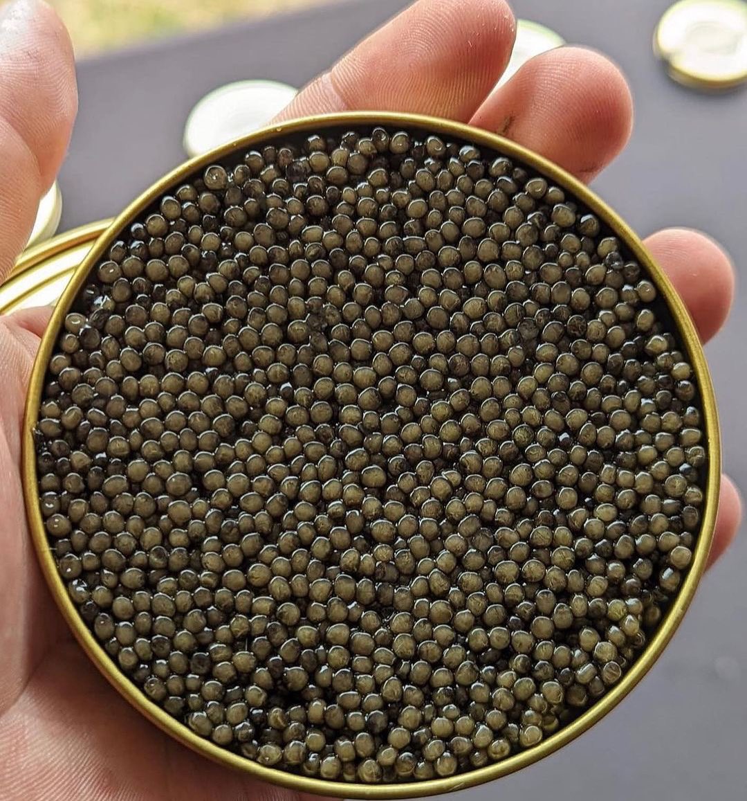 National Caviar Day is here! What is your favourite way to enjoy Exmoor Caviar? 

Our 10% discount code is still live on the website until midnight tonight!

exmoorcaviar.com 
CAVIARDAY10

🖤🖤🖤

#caviar #exmoorcaviar #nationalcaviarday