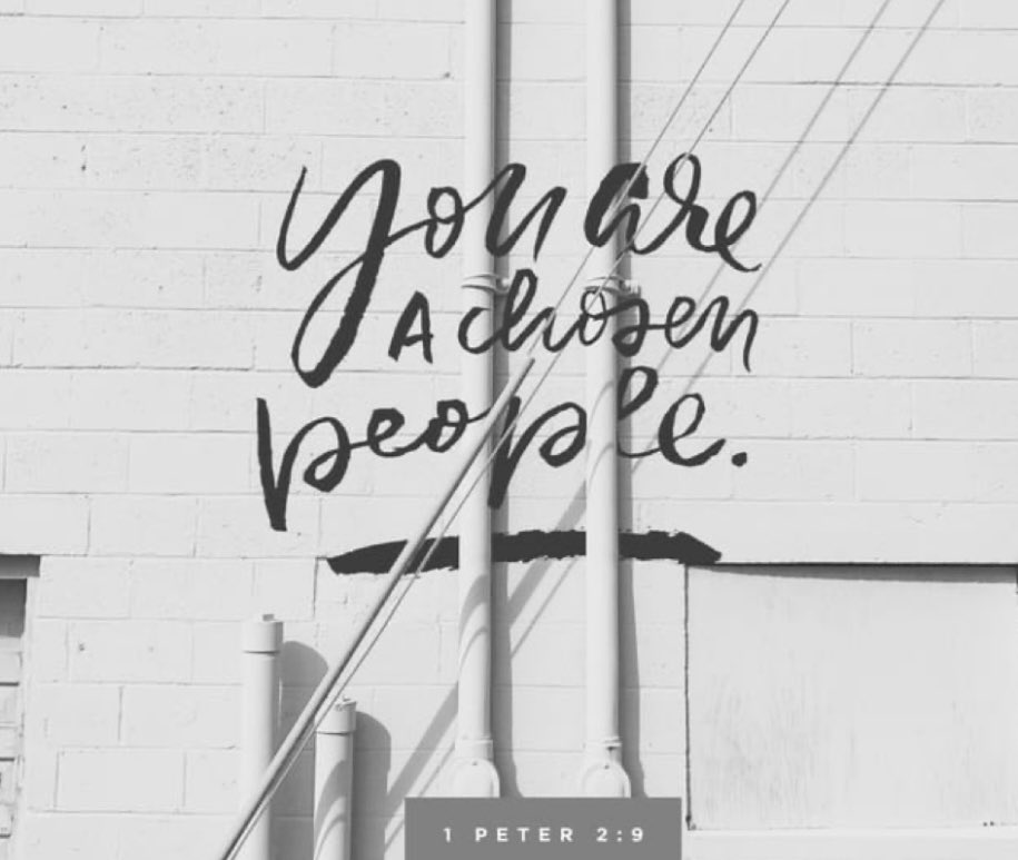 bandedretrieve's tweet photo. Remember God picked you.  You are chosen!!!

#faith #family #legacy #TuesNews https://t.co/SGKcD9bHSx