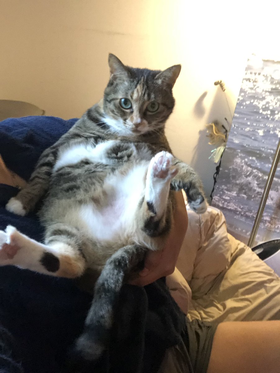 *사진 주의!!!*
첫째가 피 섞인 토를 했는데 바로 응급 병원에 가야할까요? 식욕도 좋고 활기 있고 불편한 기색도 없어서 일단 기다려봐야할지 당장 병원으로 가야할지 판단이 안 섭니다ㅠㅠ...