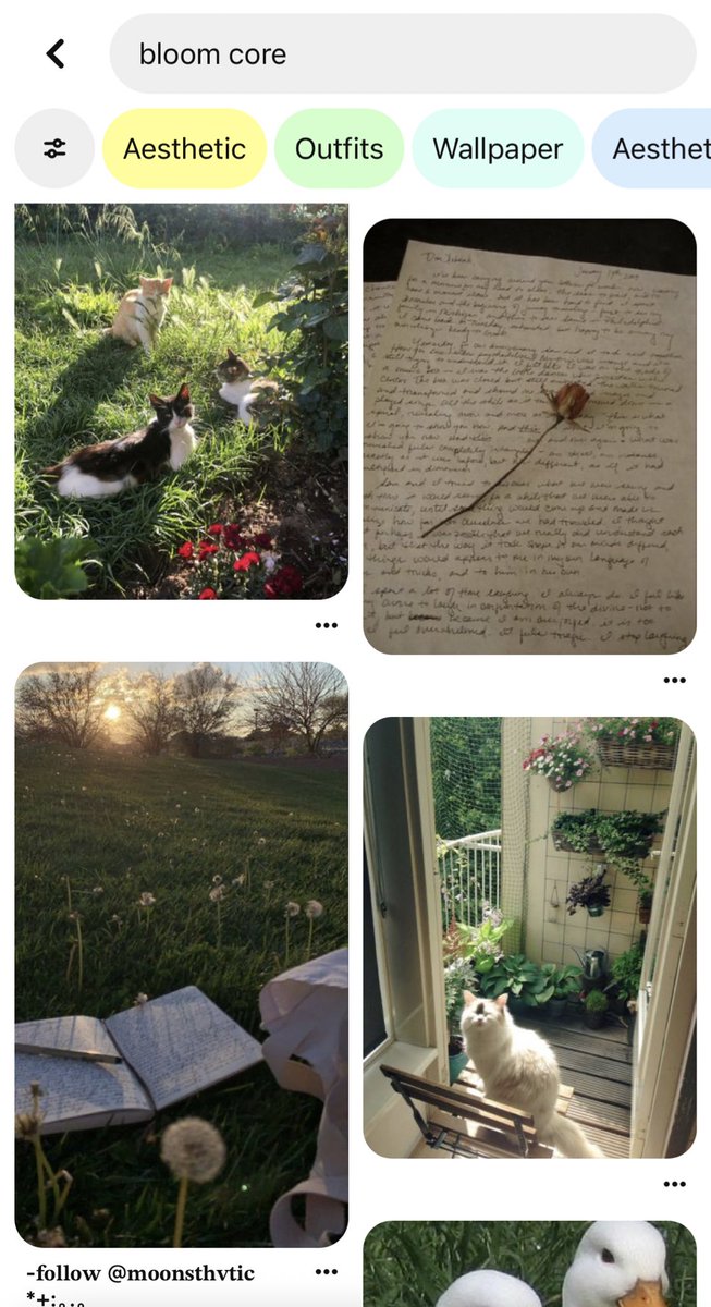 bloom on Twitter "bloom vs my real name )"