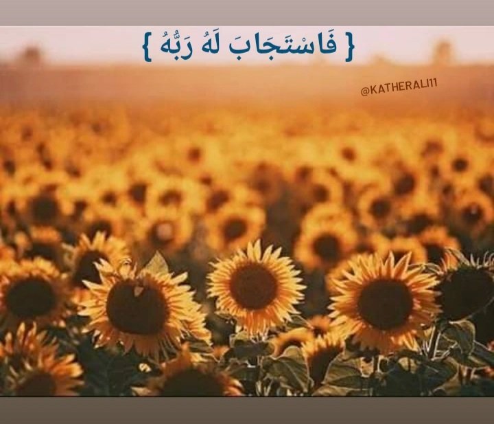 KatherAli11's tweet photo. اللهمَّ ربُّ السَّموات السَّبع وربُّ الأرض ورب كلِّ شيء اقض حاجتي وسهل لي أمري يا الله لا ملجأ ولا منجا منك إلَّا إليك... اللهمَّ ليس لنا سواك ولا مبتغى لنا إلَّا رضاك أدعوك وأتوجه إليك وأستغيثك أن تُيسر لي أموري كلَّها وتفتح لي أبواب الخير عاجله وآجله 
🤎🤎 https://t.co/jM2vuQozbi