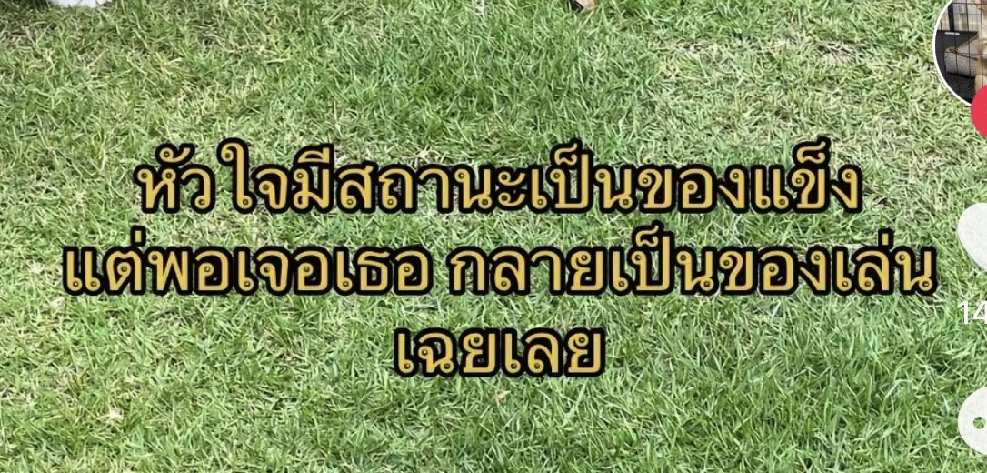 analog tweet media