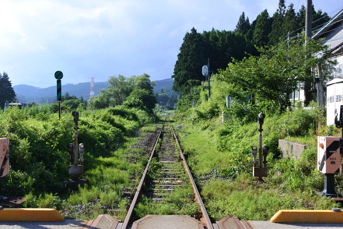 YOSHIKI92312527's tweet photo. #踏切
#田舎で見る長い線路
#Nikon
#1j5
何か凄く撮りたくて撮って見ました
( •̀ω•́ )✧
電車待ってみたけど何も来ないので諦めましたꉂ🤣𐤔ꉂ🤣𐤔ꉂ🤣𐤔 https://t.co/bqf5g1ga9x