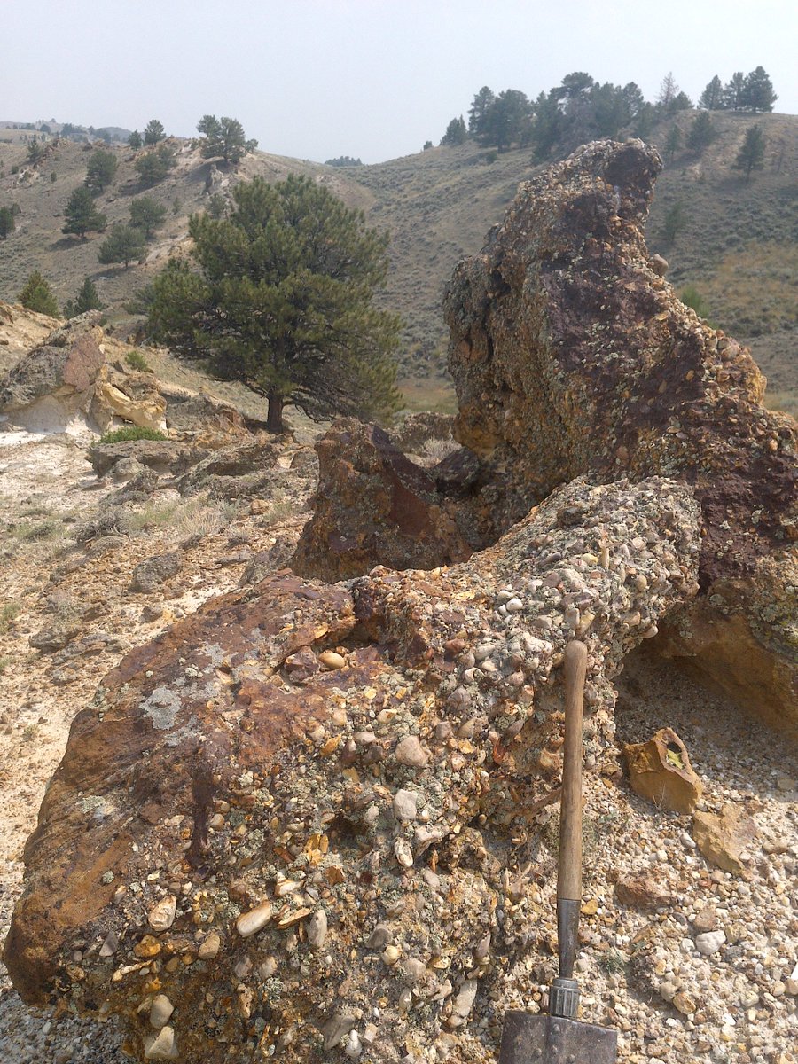 WyGeoSurvey's tweet image. Upper Fort Union Formation ferruginous pebble conglomerate #outcrop, on the Oil Mountain quadrangle in central #Wyoming.
The Oil Mountain quadrangle #geologicmap can be found here: sales.wsgs.wyo.gov/preliminary-ge…. #geology #map