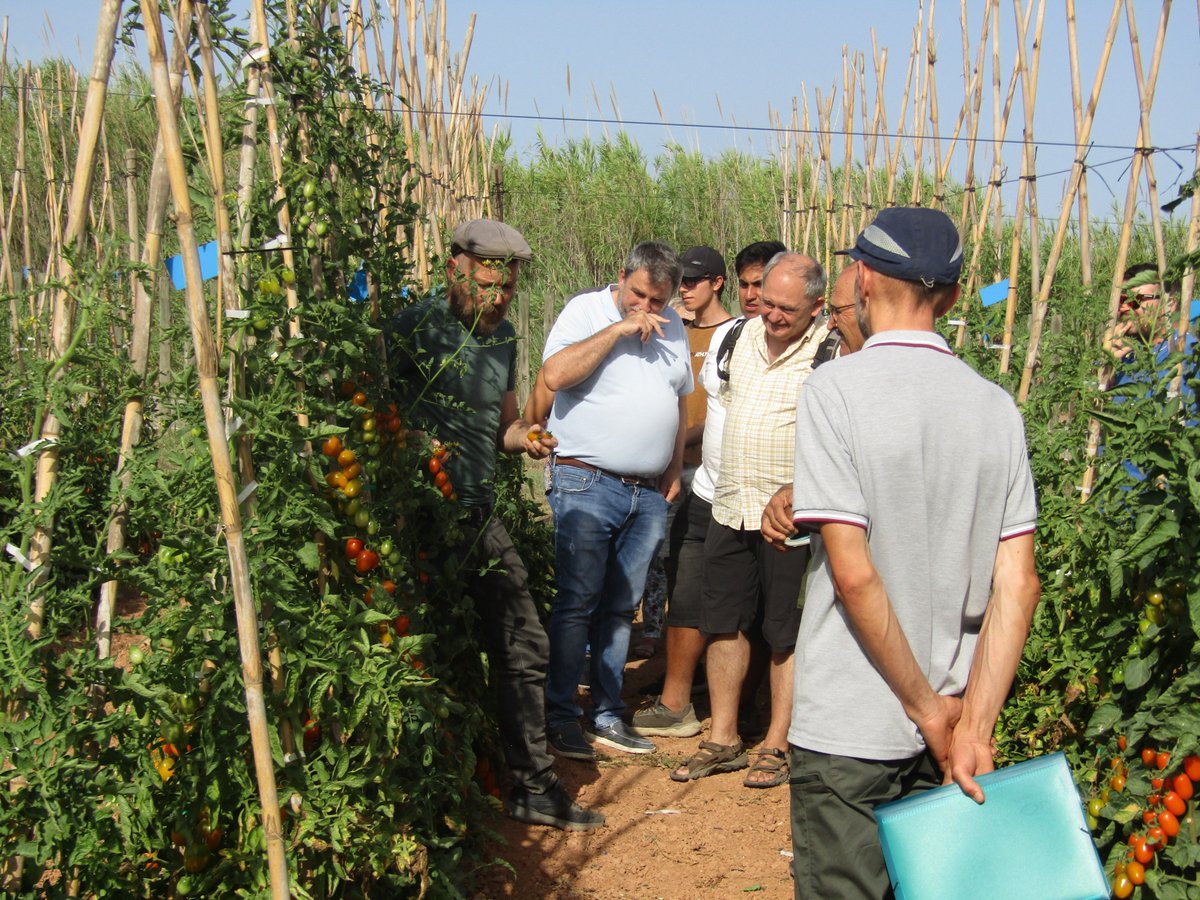 Lab4Supply's tweet photo. Workshop and knowledge sharing. Topics include classic tomato varieties, the use of phytosanitary products in horticultural crops, and integrated phytoparasite management.
It was surely a very enriching day for everyone who attended. #lab4supply https://t.co/QuntCjYjCg