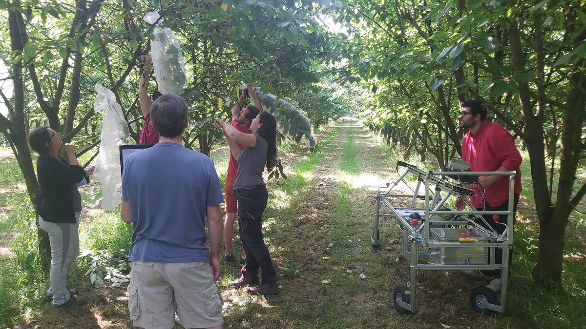 Hort Lab tweet media