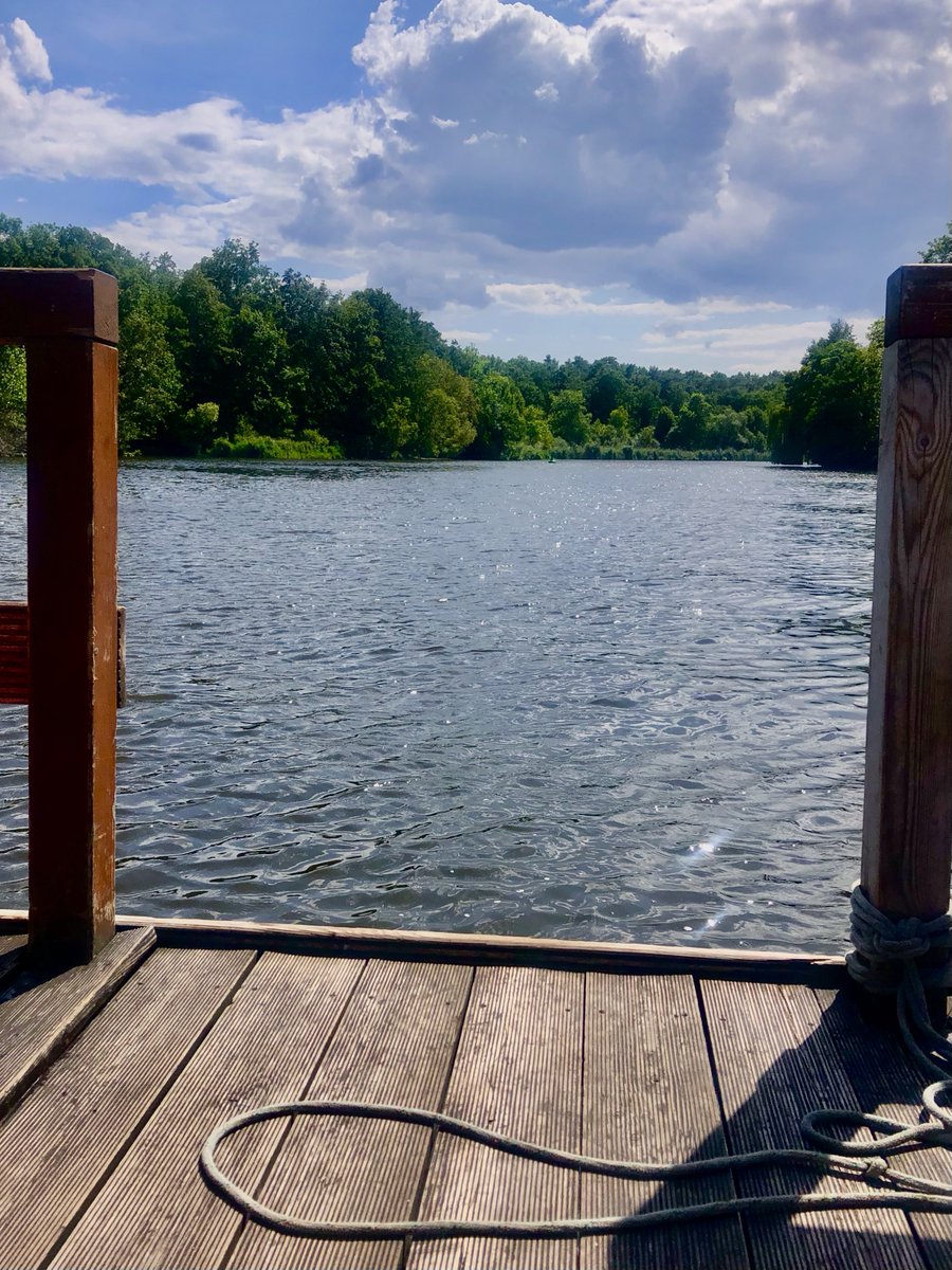 klinger_lab tweet media