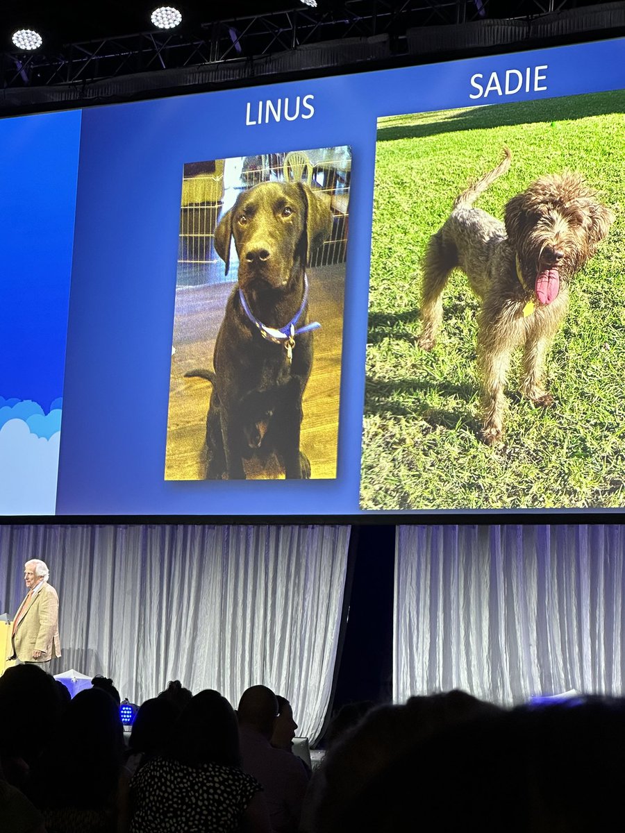 MoralesA_TISD's tweet image. Perseverance is the key for every successful story..find one person to believe in yourself &amp;amp; that person is YOU…Love Henry Winkler presentation…You must laughed to enjoy life!! @ASCAtweets @TornilloISD #Asca2023 #TISDProud @TISD_Counselors