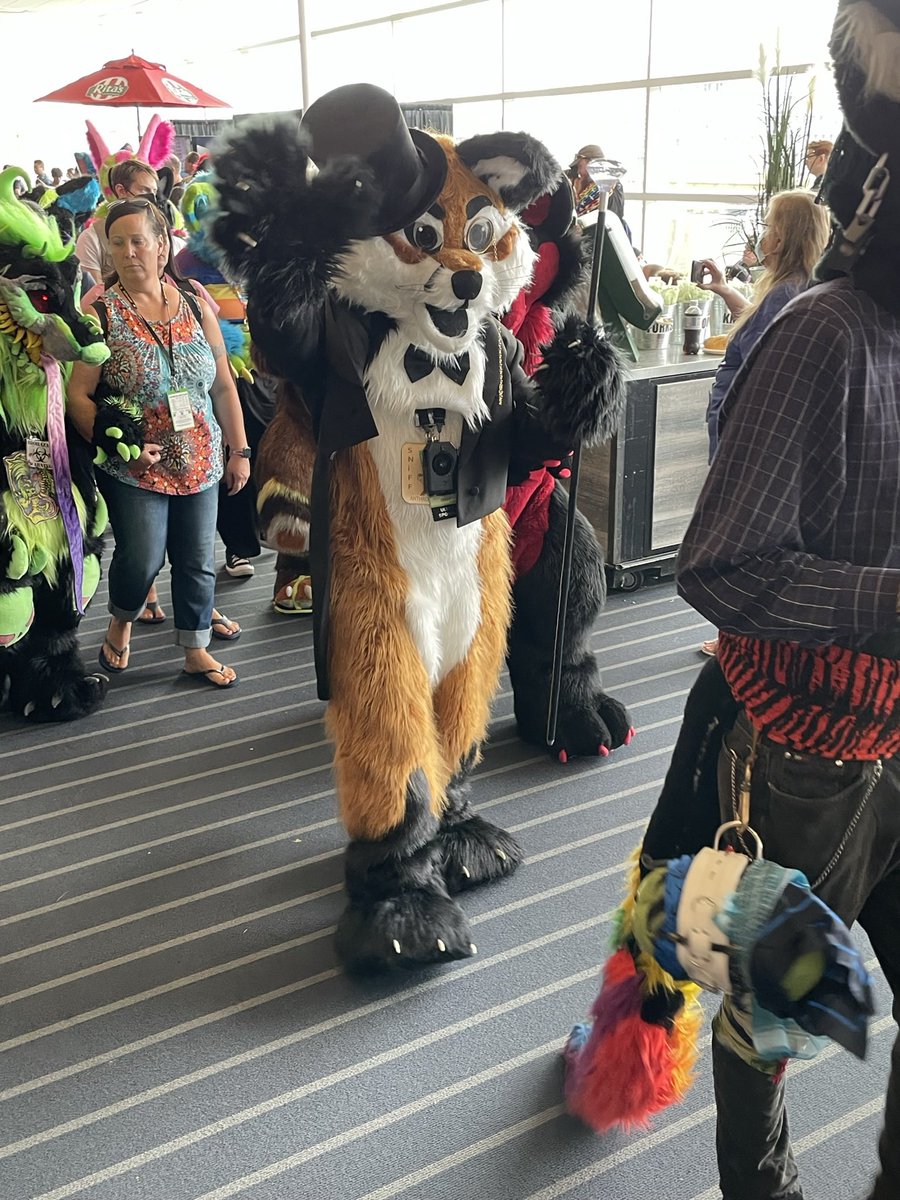 Hugz N. Snugz 🔜 Anthrocon 2026 tweet media