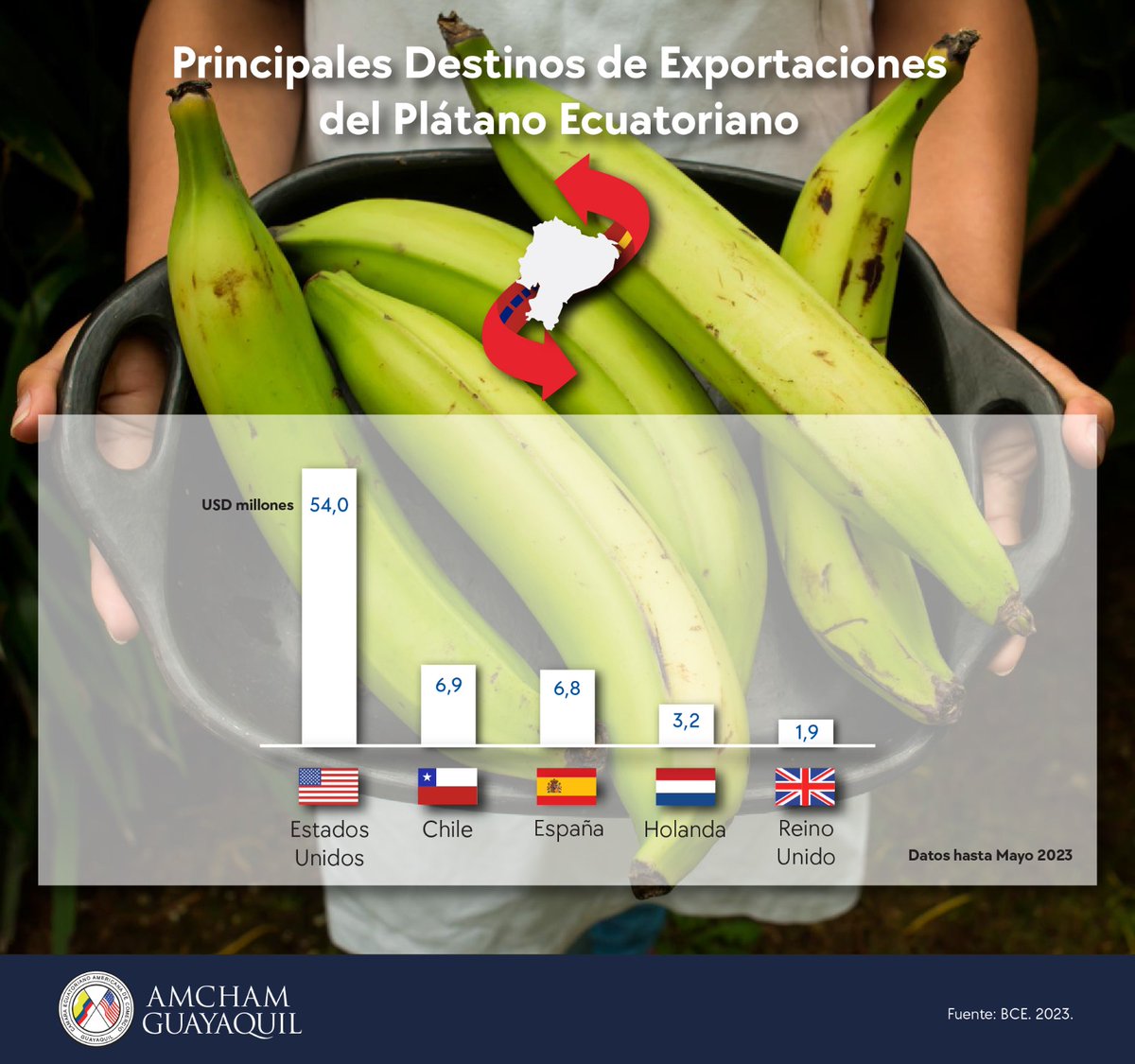 ChairAmchamGYE's tweet photo. El plátano verde es el alimento predilecto de la cocina ecuatoriana 🇪🇨, pero también es apreciado en otras partes del mundo. Hasta mayo 2023 #EEUU 🇺🇲 es el mayor destino de exportación ($54 M), seguidos por Chile ($6,9 M) y España ($6,8 M). Sigamos impulsando su consumo en el 🌍. https://t.co/7saWbvCSkP