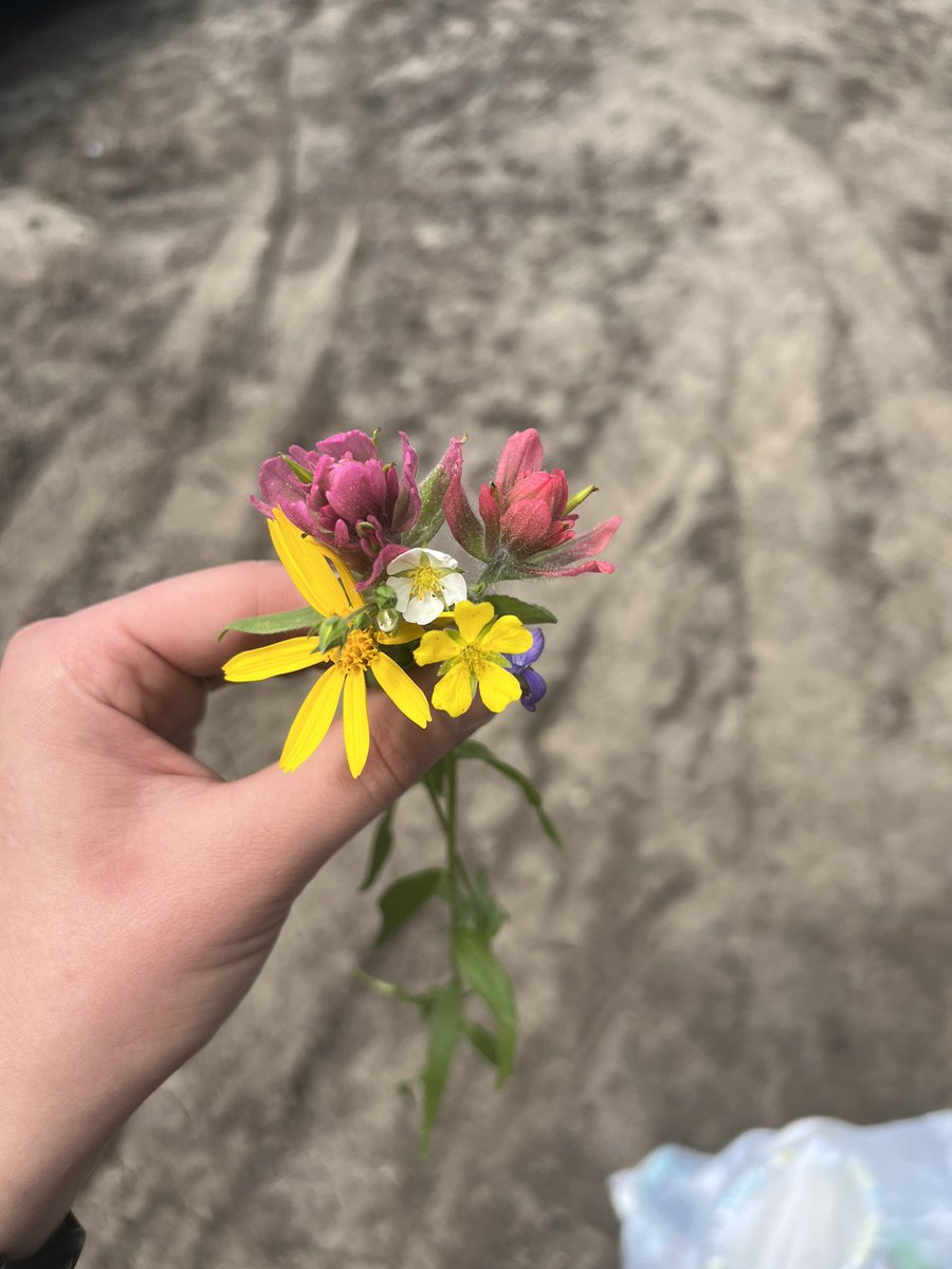 kleingang35's tweet photo. small amount of fomo missing WYO but being up in the mountains was more my scene lately ❣️ https://t.co/7yHGWvj8hd
