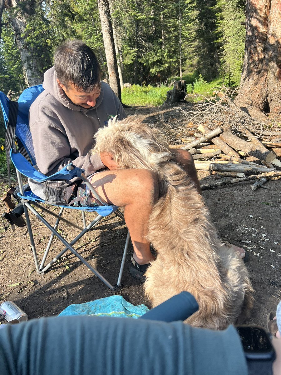 kleingang35's tweet photo. small amount of fomo missing WYO but being up in the mountains was more my scene lately ❣️ https://t.co/7yHGWvj8hd