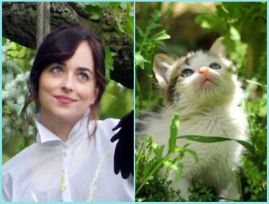 pie_damie's tweet photo. @DAK_KOTTA @JDDJ13882191 ✨♥️👑🐱♥️✨ https://t.co/P6pL1VRtFm