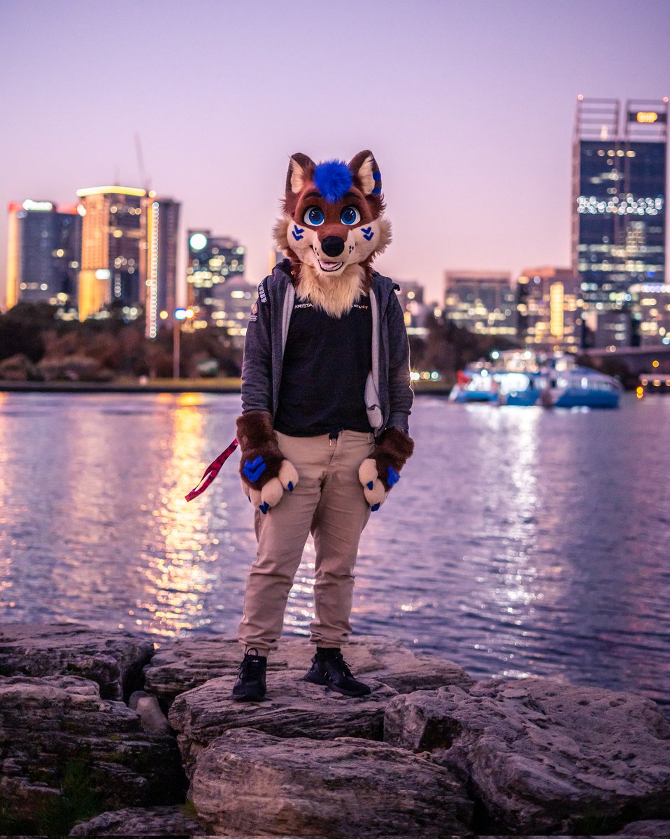 Fursuiting with friends, with a Sunset over an incredible city view

Such a vibe ✨ -  #FursuitEveryday

#Perth #perthcity #furryfandom #furry #fursuiter #fursuit #furrycommunity