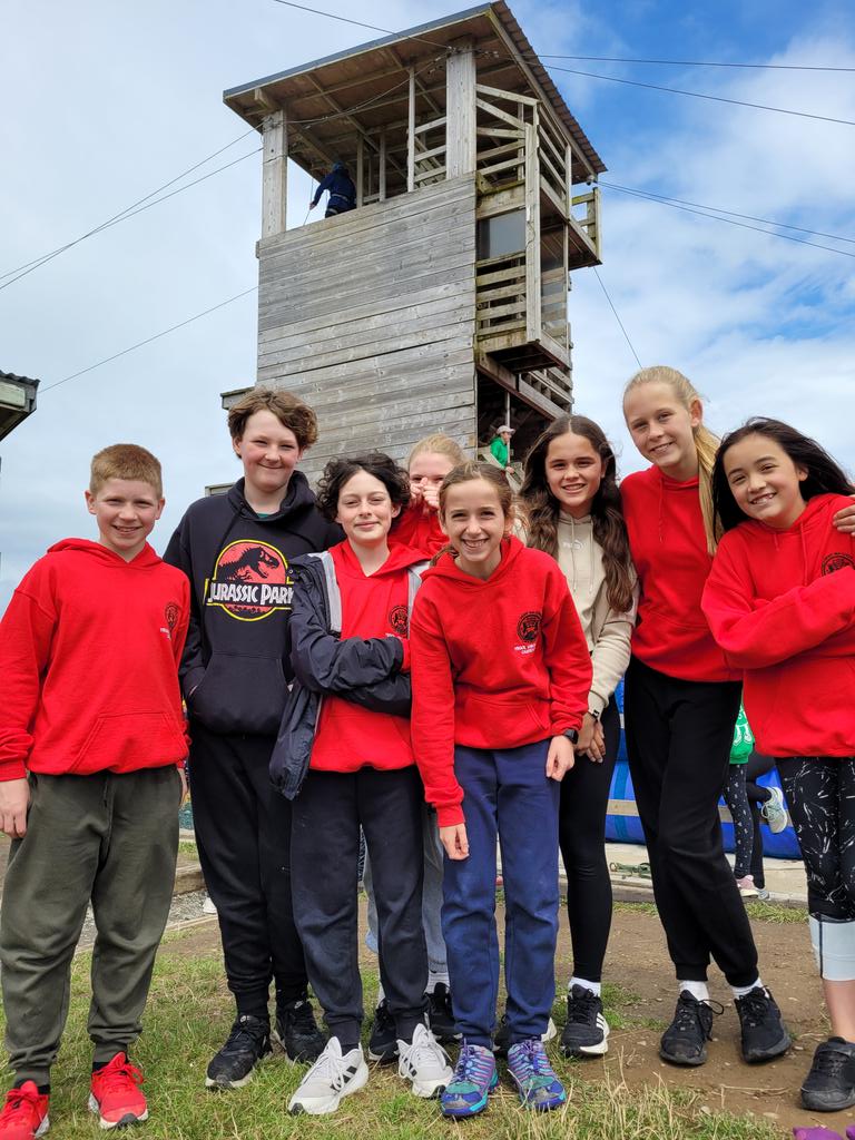 k normansell tweet media