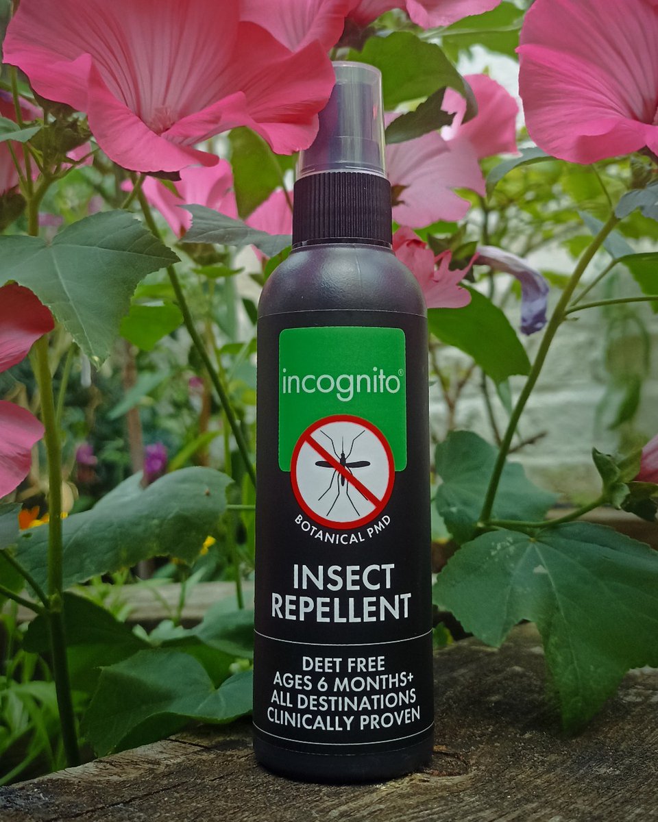incognitoUK's tweet photo. 🦟✨Do mosquitos bother you in your garden? ✨🦟

Enjoy your bite-free evenings by using our award-winning, 100% natural incognito repellent. It will give you complete protection for over 4 hours!

Incognito mosquito repellent: stronger for longer 

#Incognito #InsectRepellent https://t.co/gv70bTfkeg