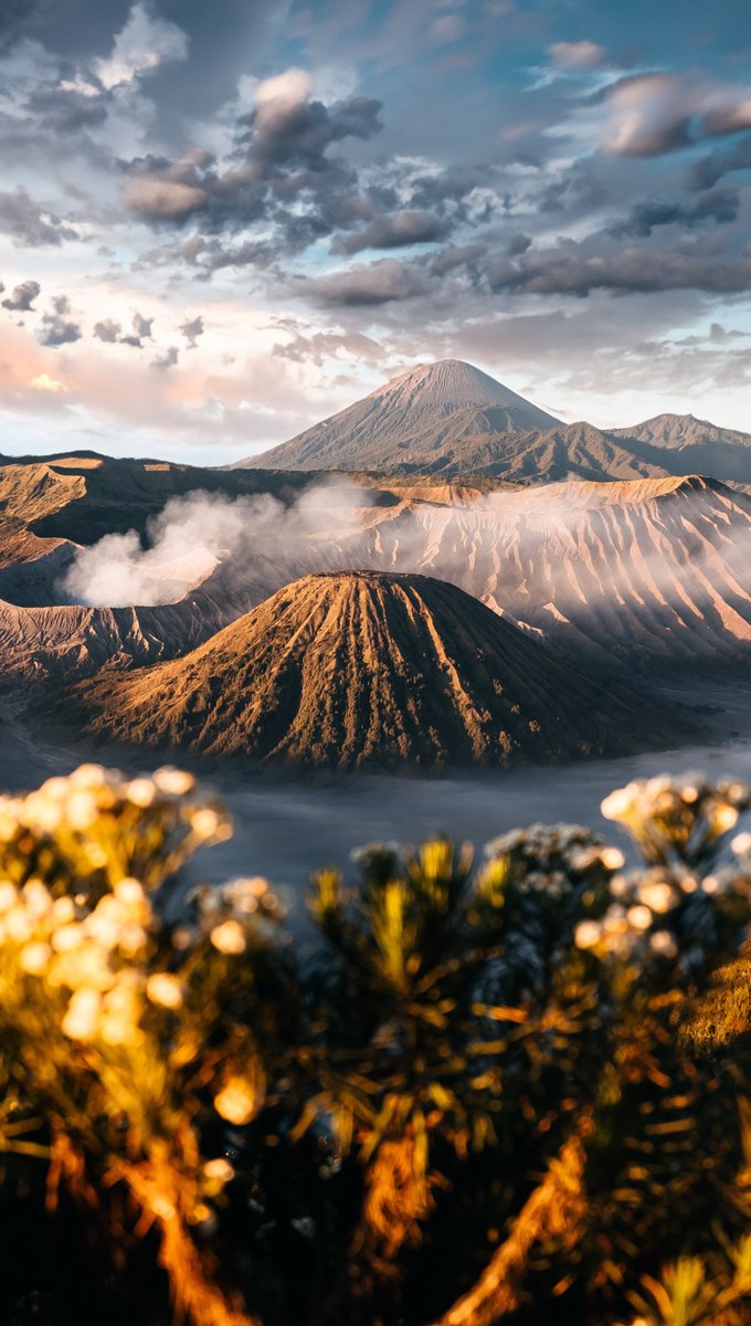 Ingin membagikan salah satu foto favorit saya sepulang dari Bromo kemarin.

Tak ingin hasilnya sama dengan yang lain, saya mencoba menjadikan bunga Edelweis sebagai foreground.

Ini hasilnya: