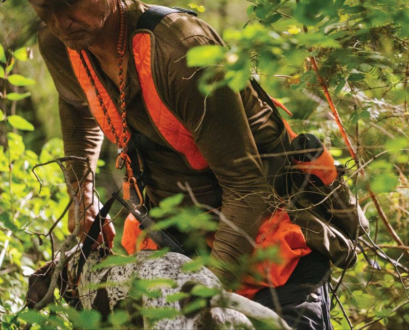 Project_Upland's tweet image. Transitioning a Dog from Training to Hunting Wild Birds - mailchi.mp/15cb21d79b41/s…