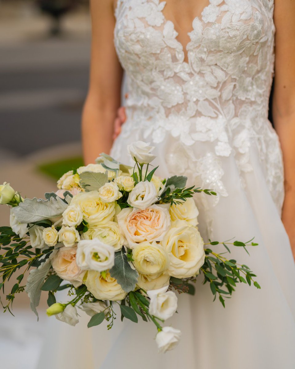 antrweddings's tweet photo. Creamy whites with a hint of blush were used to create this gorgeous bride bouquet
Photo: Hush Hush Photography 

#hamiltonweddingflorist #hamiltonweddingflowers #niagaraweddingflowers #niagaraweddingflorist #weddingbouquet #weddingbouquets #weddingbouquetideas #whiteweddingbouqu https://t.co/ZKi3uKf6tY
