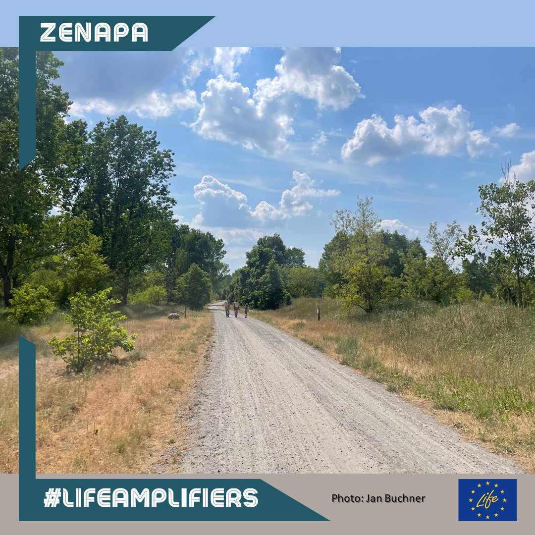 The <a href="/NaturparkBarnim/">Naturpark Barnim</a> (collaboration of the ESD officer &amp; the #ZENAPA Climate Change Manager) participated in the "Long Day of Urban Nature" on 11/06 at the Stadtgut Hobrechtsfelde with an interactive audio round trip through the surroundings 🌳 <a href="/LIFEprogramme/">LIFE Programme</a> #LIFEAmplifiers