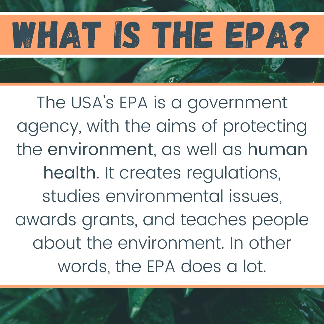 plastictides's tweet image. The Environmental Protection Agency (EPA) is an incredibly important body in the United States' government. Swipe left to learn more about the why behind the EPA!  🌎 🌊 💙 🌿 🌳 💚
----
#LiveUpstream

#EPA #EnvironmentalProtectionAgency