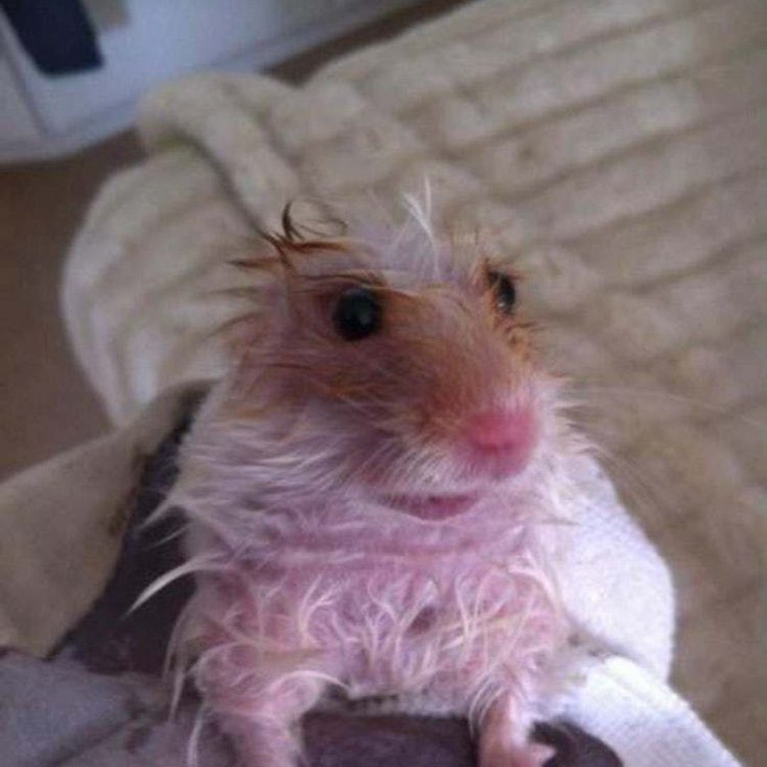 las demás chicas en la playa // yo en la playa