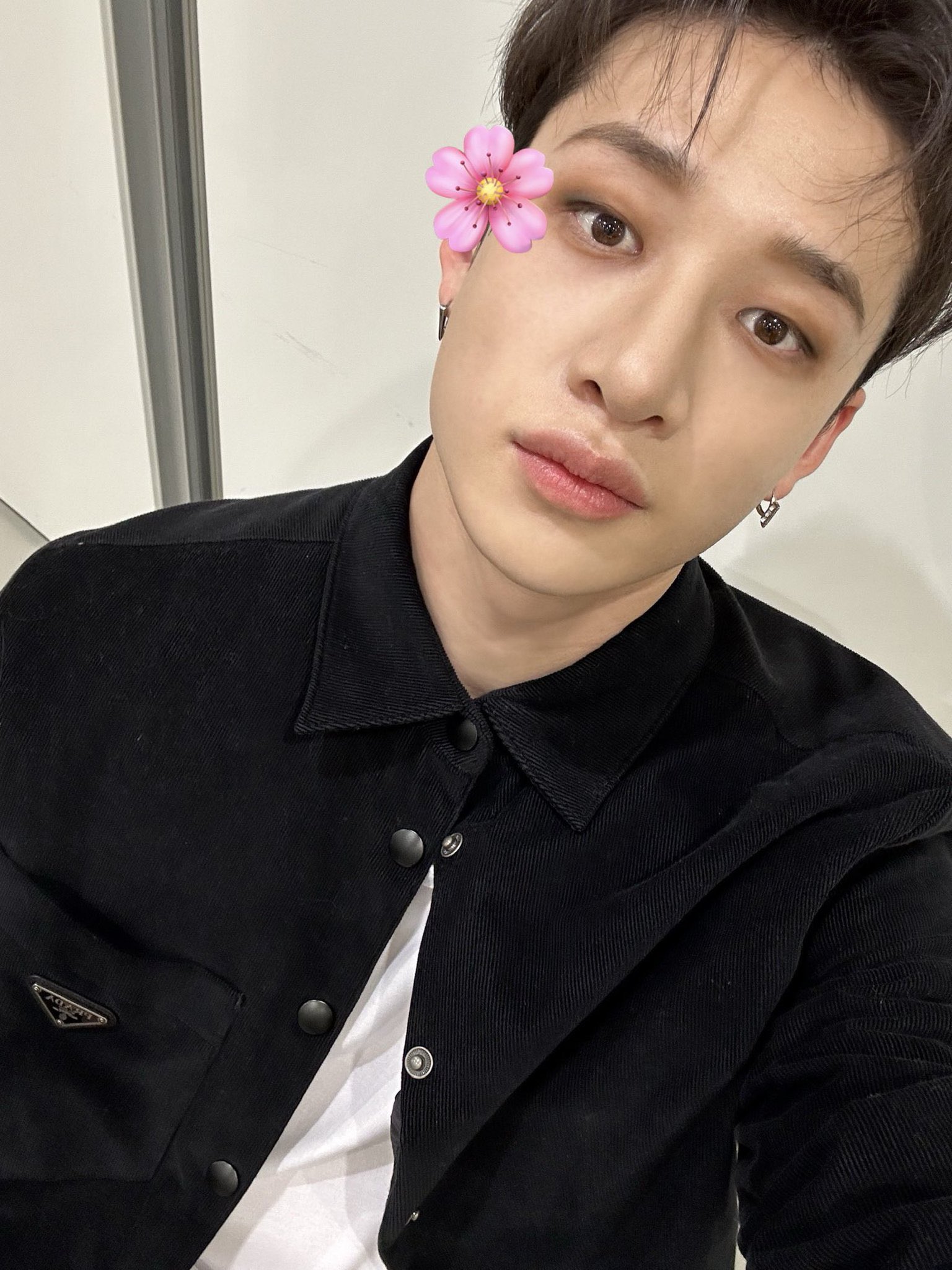 Puppy Bn s Chew Toy On Twitter pretty Pup Chn His Favorite Hyvng puppy-bn-s-chew-toy-on-twitter-pretty-pup-chn-his-favorite-hyvng