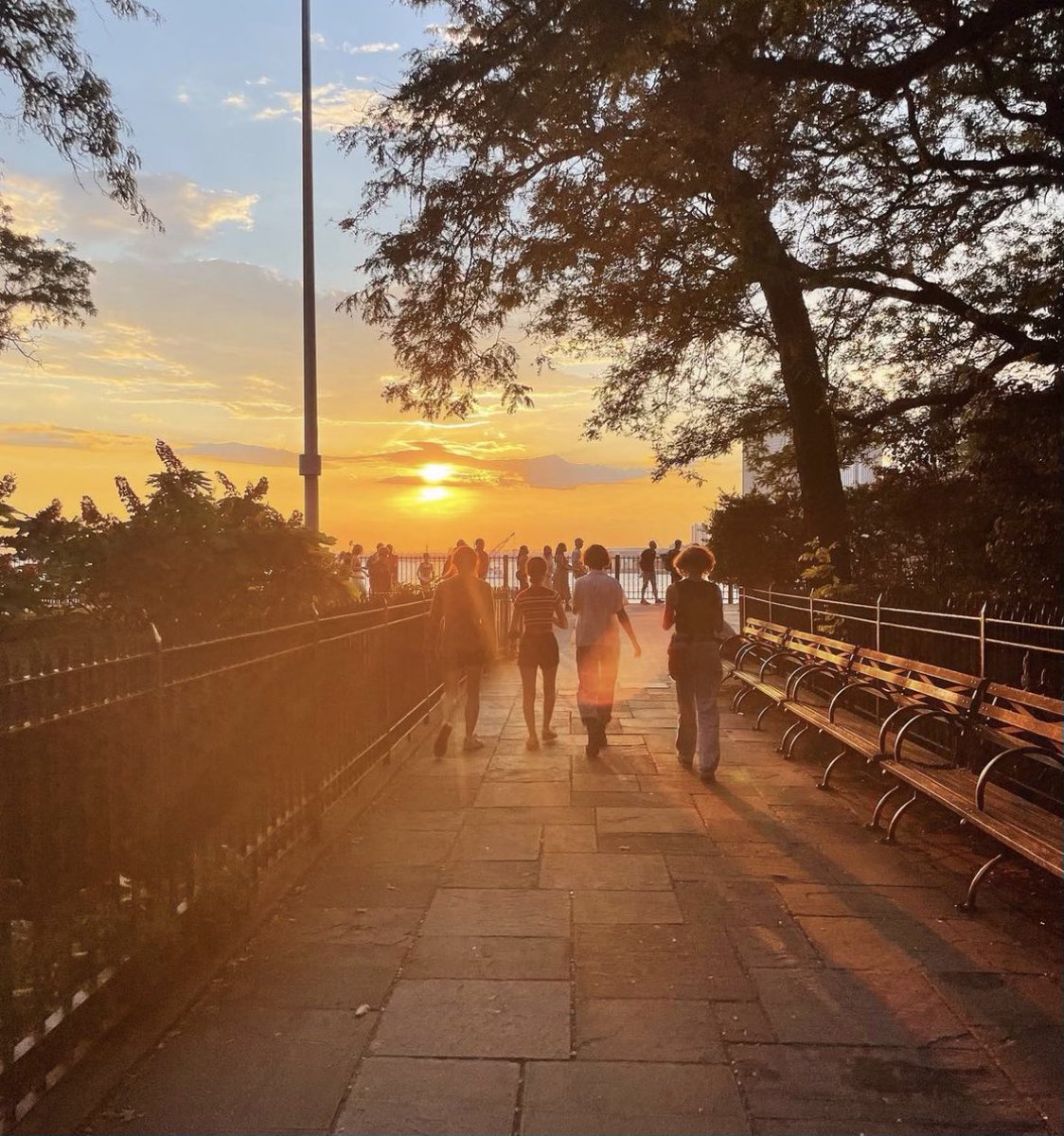 TheLodgeRedHook's tweet photo. Views from Brooklyn Heights Promenade at sunset ✨ https://t.co/baJh3qqLZq