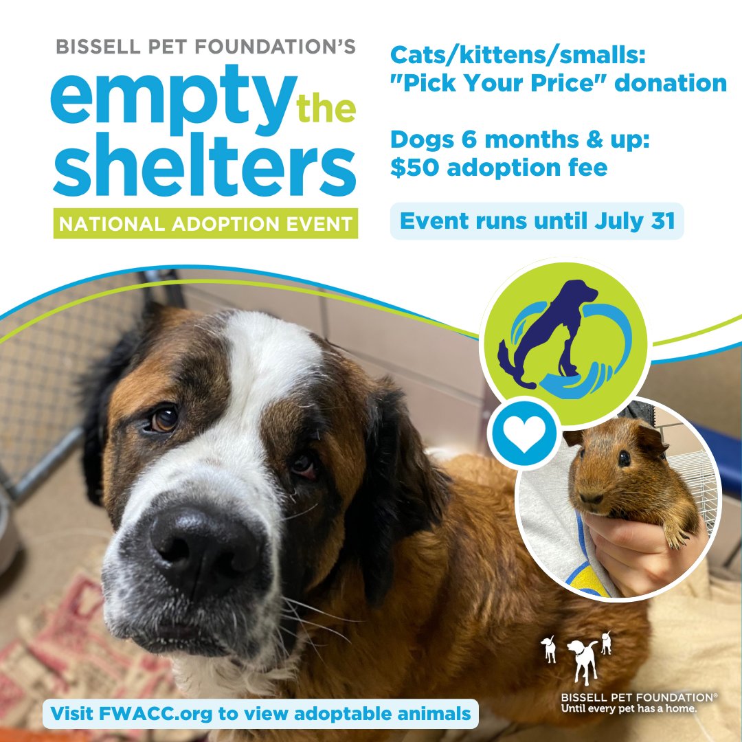 FWAnimalControl's tweet image. &quot;Adoption saves two lives – the adopted pet and the one who takes their place in the shelter.&quot; @BISSELLPets 

Our #EmptytheShelters event with BISSELL Pet Foundation is going on the whole month of July! Come meet your new best friend. 

cityoffortwayne.org/adopt.html