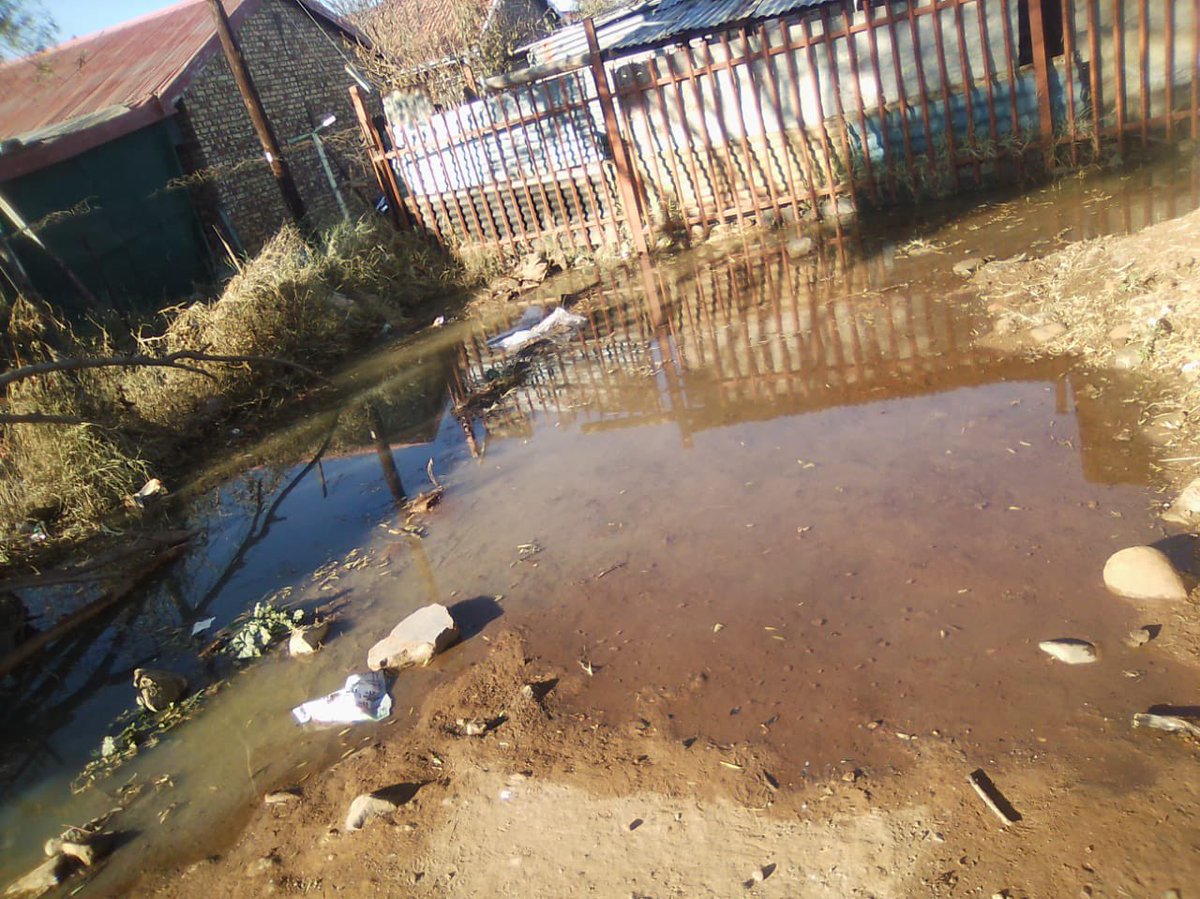 Ms. Allie on Twitter "In Warrenton Northern Cape, helping community