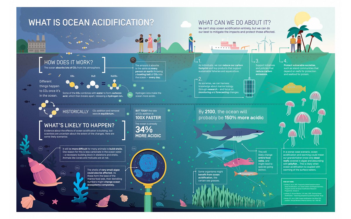 🌊 Infographic on #OceanAcidification: A wake-up call for our oceans! Rising carbon dioxide levels are causing acidity levels to skyrocket, threatening marine life and coral reefs. It's time to take action and protect our precious underwater ecosystems. 🐠🐙🐬

Via <a href="/saveourseas/">Save Our Seas</a>