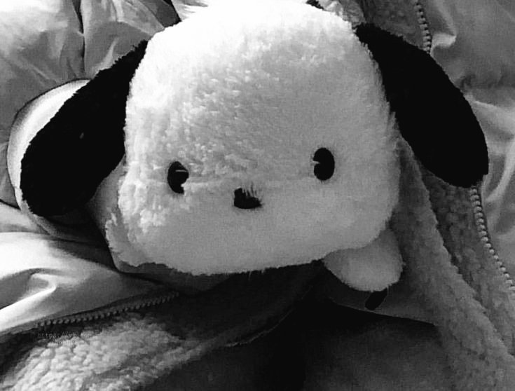 ୭ৎ •  things   to  do  instead  of  eating  . . .    ⋅˚₊   🐨  . . .  ⋅˚₊  •  ୭ৎ

  ♡  ⼃  ↺  appreciated  ໒꒰ྀི⸝⸝´ ˘ `⸝⸝꒱ྀི
