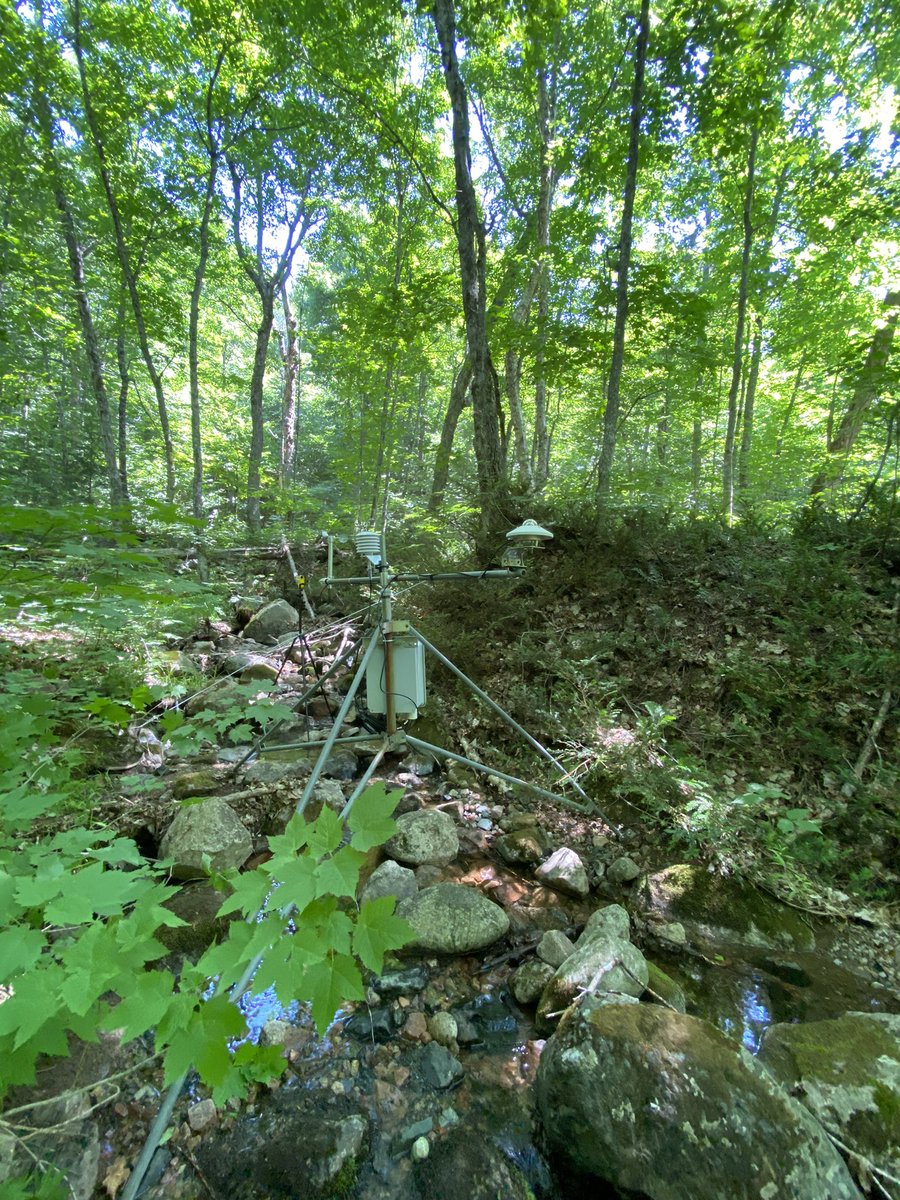 Turkey Lakes Watershed tweet media