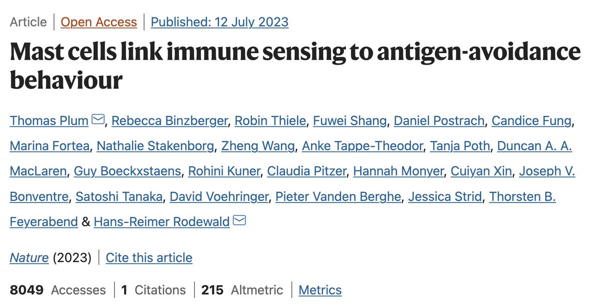 itchdoctor's tweet photo. Hoon Lab showed #mastcells #leukotriene #LTC4 critical in #itch and then @IsaacChiuLab showed LTC4 in itch, while we showed #basophils are a source of LTC4; now we have a pair of papers on #mastcells #leukotriene and #LTC4 in #foodallergy #avoidance in @nature along these pathways as well! @florsheim_eb @RMedzhitov #neuroimmune is evolutionarily conserved across tissues!