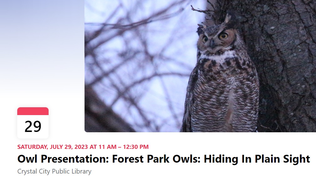 forestparkowls's tweet photo. Come to Crystal City, Mo on Sat 7/29 &amp; learn all about the Great Horned Owls in Forest Park https://t.co/TaQMvIwazx It's FREE, all-ages, &amp; open-to-all @myleaderpaper @ForestPark4Ever @CCHornetnews @HistTanglefoot @BooksGaloreLLC @CityofFestus @johnjwink99 @JeffcoMinute @FestusHS https://t.co/mDIkabiGDM
