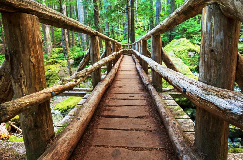 NC Science Trail (@trailnc) on Twitter photo July Explorer Newsletter is now available. Take a look and sign up to receive it so you won't miss a thing! 
Read Newsletter: conta.cc/3JFLF8x 
#NCScienceTrail #ExperienceourScience #ExploreNCScience #NCScienceNews
conta.cc/44sewFZ July Explorer Newsletter is now available. Take a look and sign up to receive it so you won't miss a thing! 
Read Newsletter: conta.cc/3JFLF8x 
#NCScienceTrail #ExperienceourScience #ExploreNCScience #NCScienceNews
conta.cc/44sewFZ