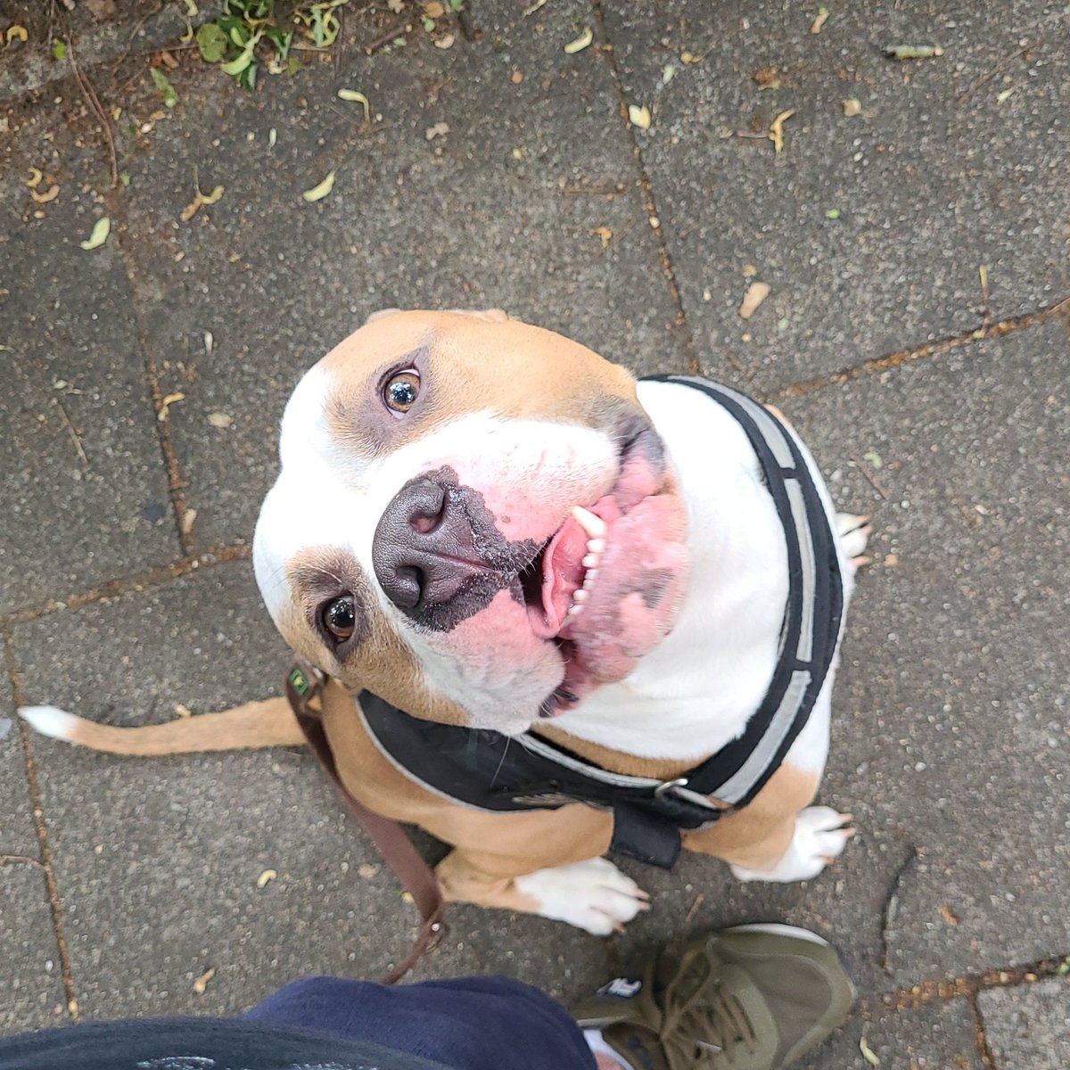 Denis 🐻 tweet media