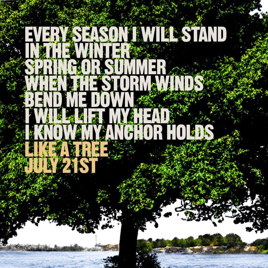 MakeWayMusic's tweet photo. Every season I will stand
In the Winter, Spring or Summer,
When the storm winds bend me down
I will lift my head I know my anchor holds
New song Like A Tree is released this Friday.
https://t.co/eKw7m7GPyj
#psalm1 #worship #likeatree https://t.co/LrUWy2aEg0