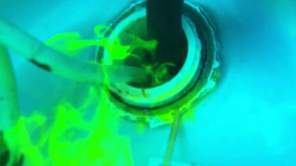 Think You Have A Leak? 
Call or text us at 727-221-1705 today to schedule your leak detection!
aquaserv.net
#MakingPoolsGreatAgain #AquaServ #AquaServPoolService #AquaServYoutube #poolservice #jandy #Pentair #clearwater #pinellascountypoolservice